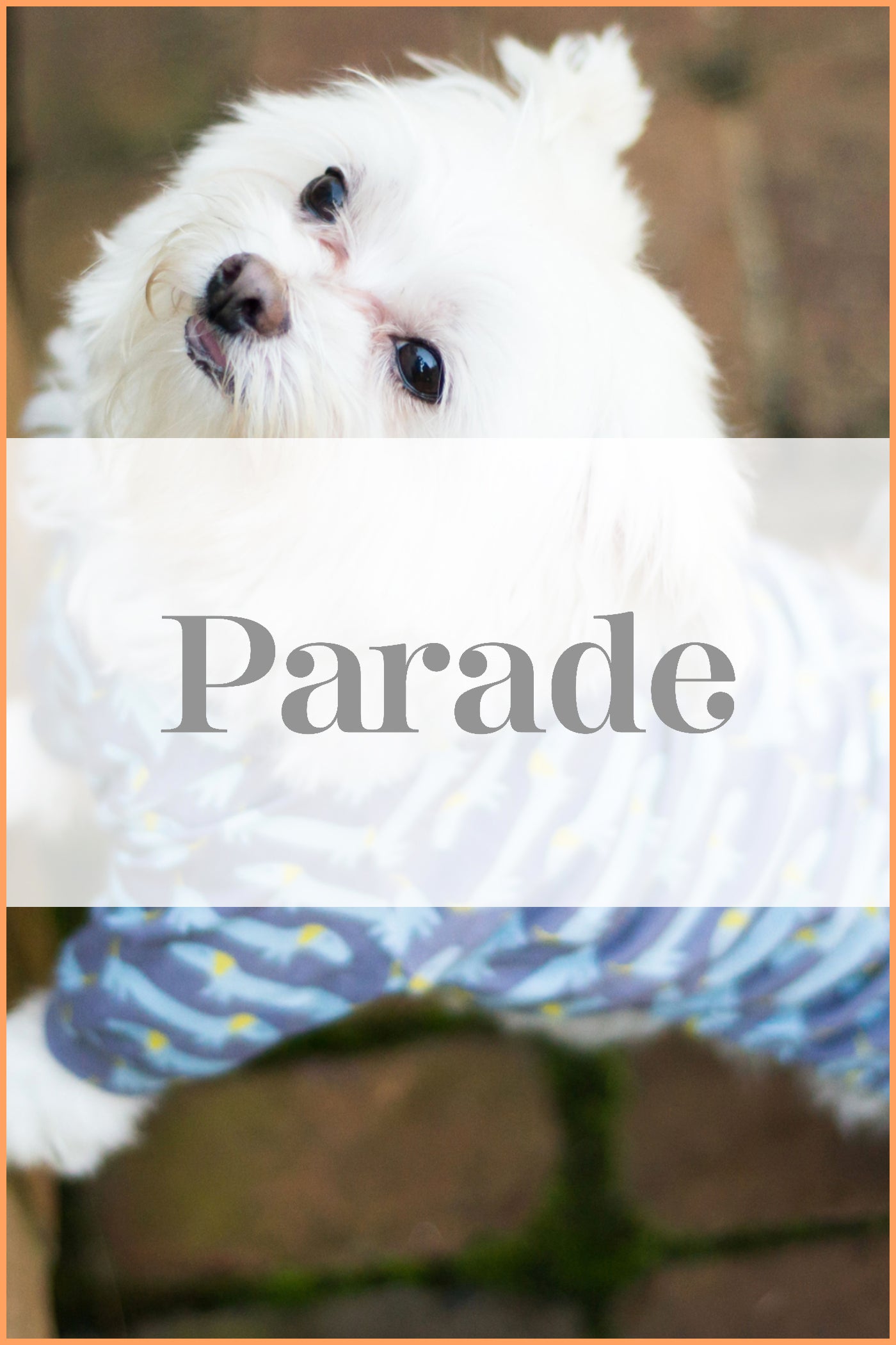 Parade.com