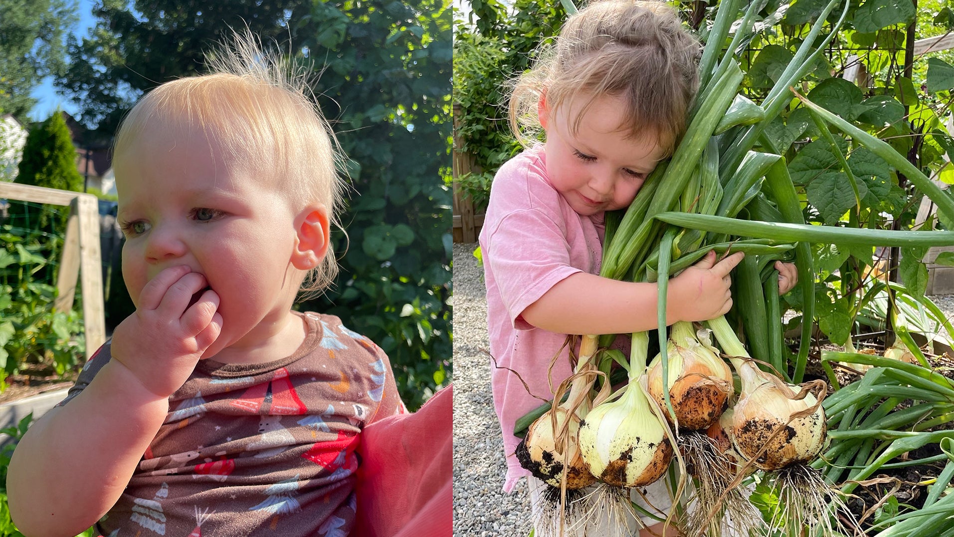 Earth Day Activities For You And Your Toddlers Clover Baby Kids earth-day-activities-for-you-and-your-toddlers-clover-baby-kids